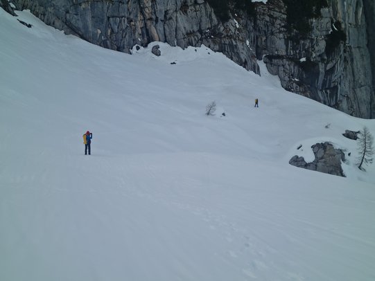 Thumbnail: IMG_20260312_164130.jpg