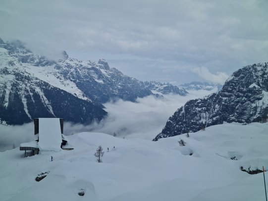 Thumbnail: IMG_20260315_101751.jpg