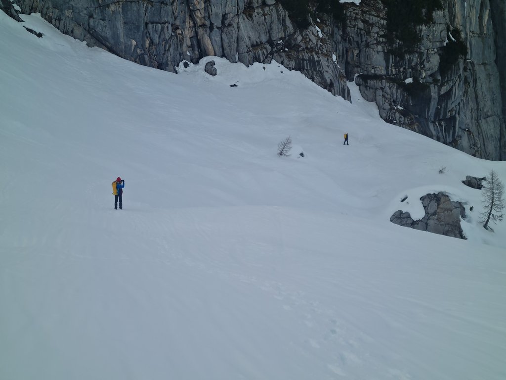 Image: IMG_20260312_164130.jpg