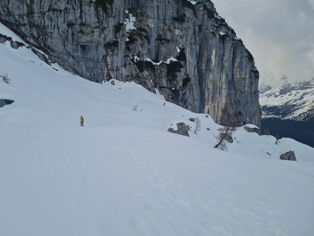 Image: IMG_20260312_164137.jpg