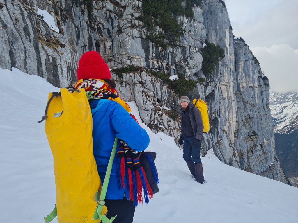 Image: IMG_20260312_164533.jpg