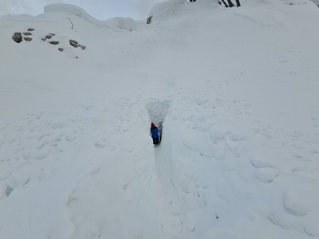 Image: IMG_20260312_173158.jpg