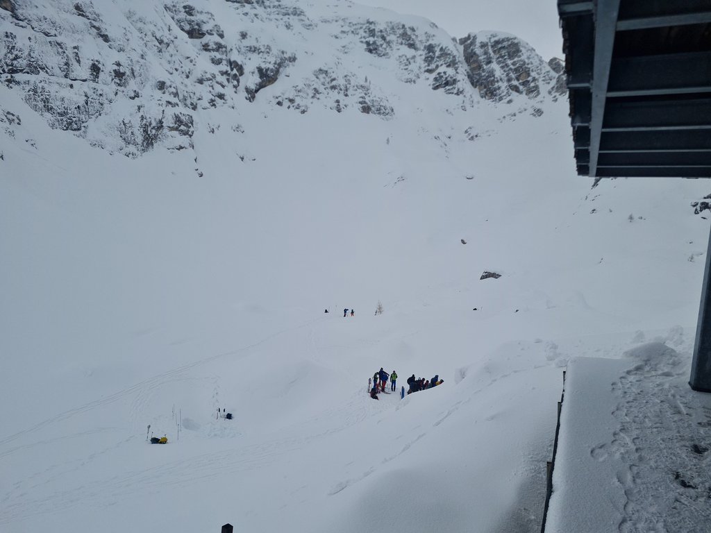 Image: IMG_20260315_101243.jpg