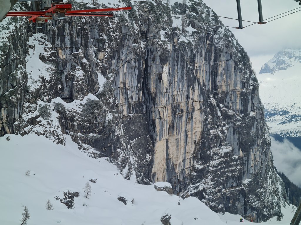 Image: IMG_20260315_101725.jpg